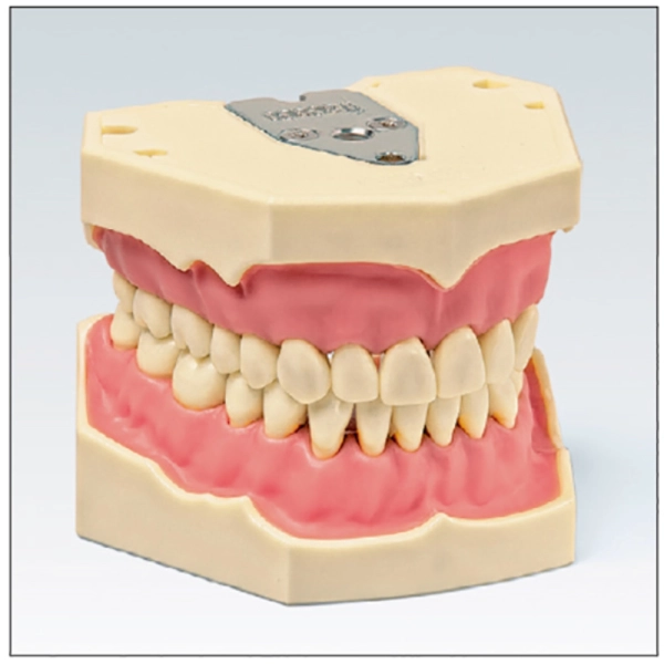 TIPODONTO AG3 COMPLETO OFICIAL FRASACO