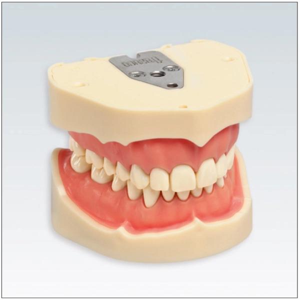 TIPODONTO ANA4 COMPLETO OFICIAL FRASACO